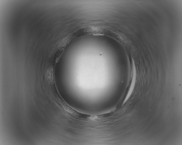 X0000062620425200512281534