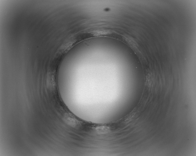 X0000062620426200512281534