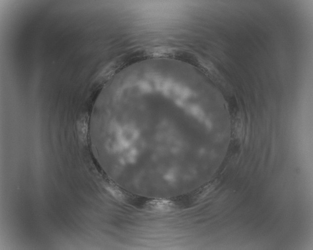 X0000062620427200512281534