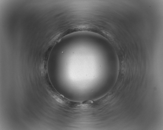 X0000062620428200512281534