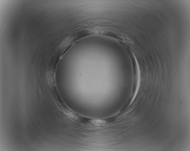 X0000062620429200512281534