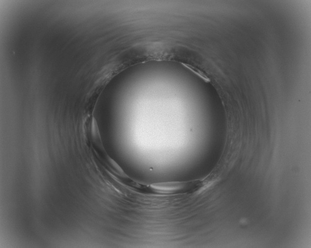 X0000062620432200512281534