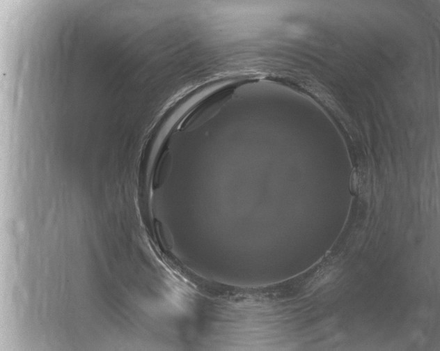 X0000062620434200512281533