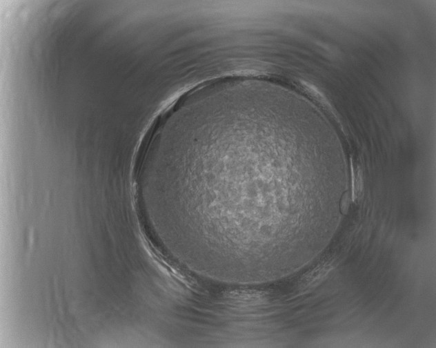 X0000062620435200512281533