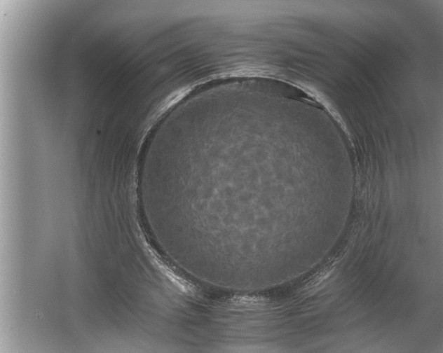 X0000062620437200512281533