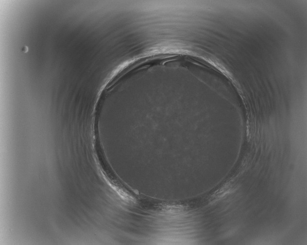 X0000062620438200512281533