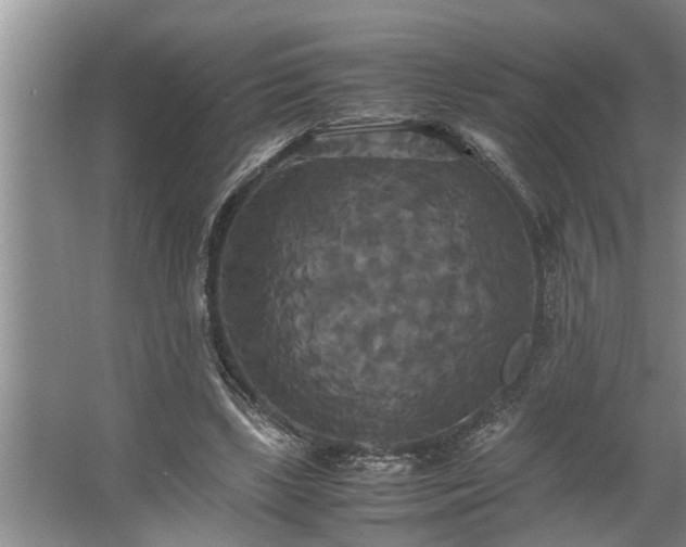 X0000062620443200512281533