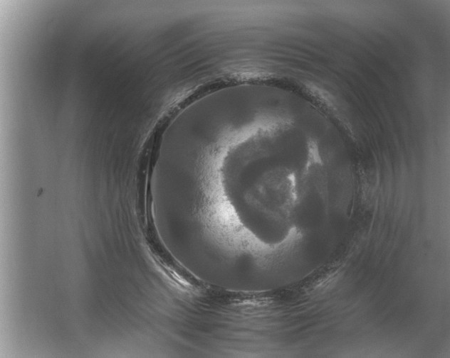 X0000062620447200512281533