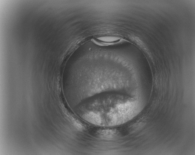 X0000062620449200512281534