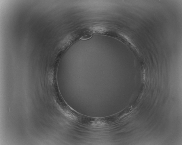 X0000062620451200512281534