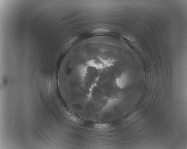 X0000062620457200512281534