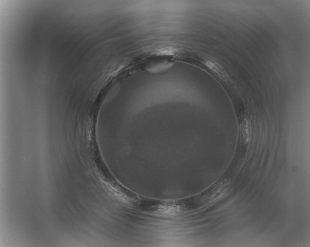 X0000062620458200512281534