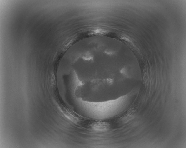 X0000062620459200512281534