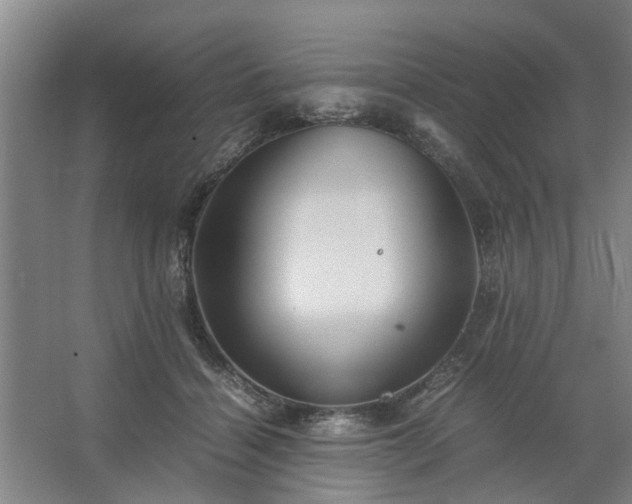 X0000062620460200512281534