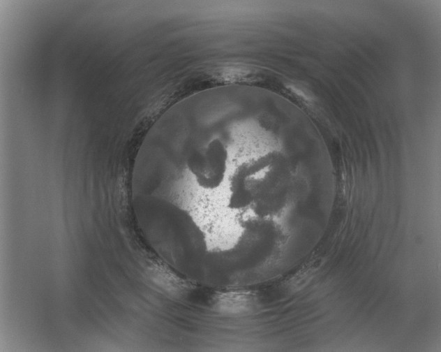 X0000062620461200512281534