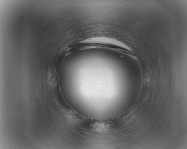 X0000062620464200512281534