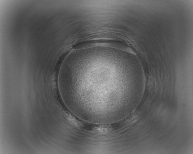 X0000062620466200512281534