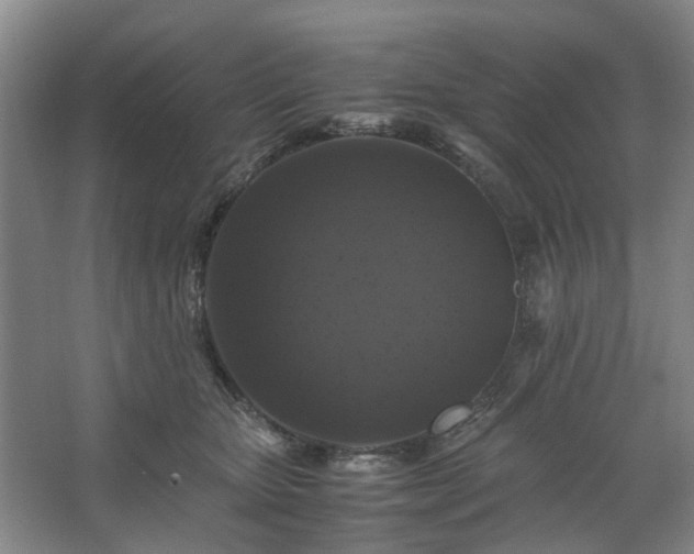 X0000062620467200512281534