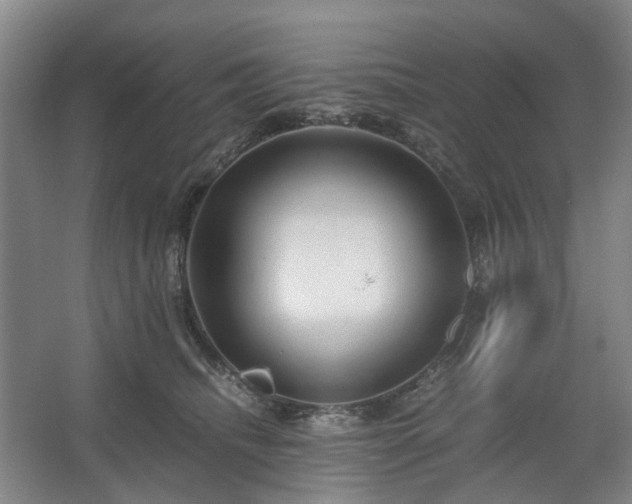 X0000062620468200512281534