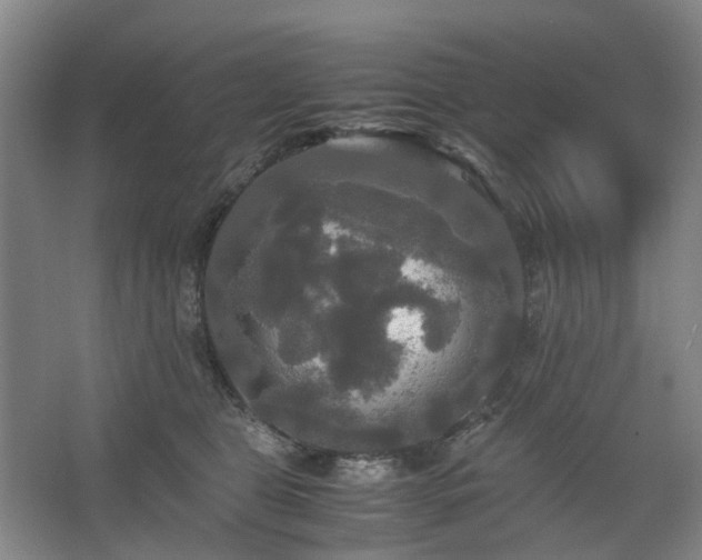 X0000062620469200512281534