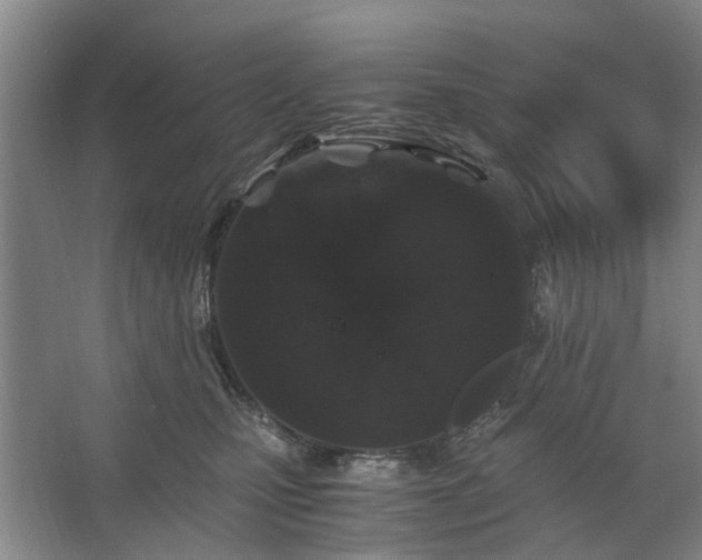 X0000062620471200512281534