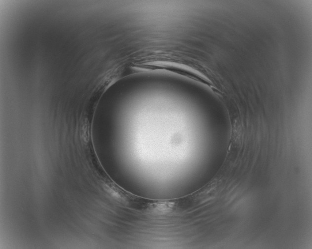 X0000062620474200512281534