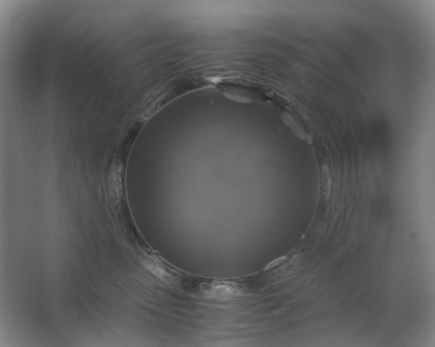 X0000062620475200512281534