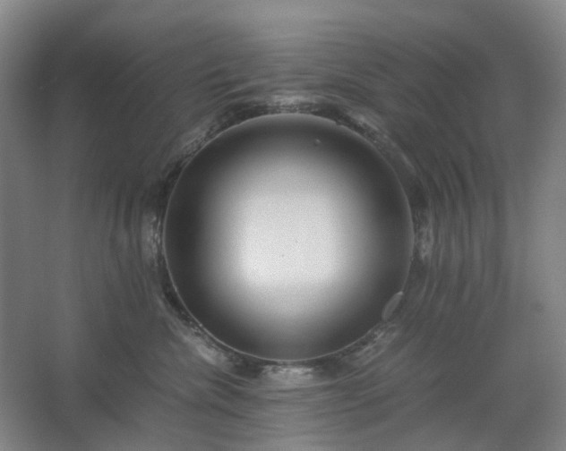 X0000062620476200512281534