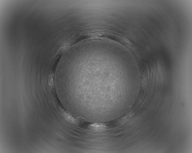 X0000062620477200512281534