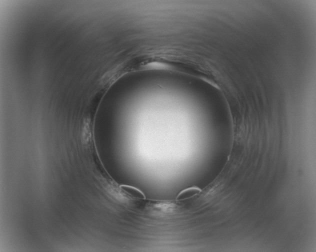 X0000062620478200512281534