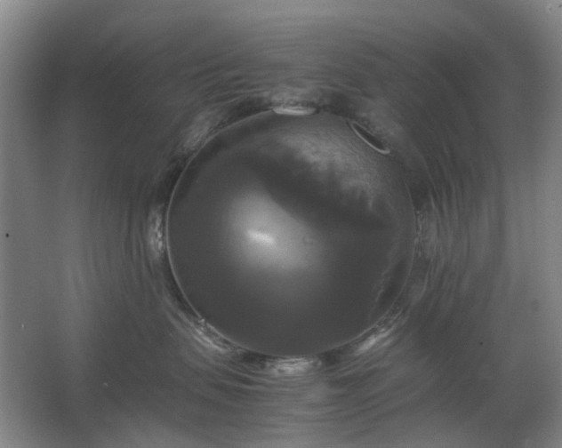 X0000062620479200512281534