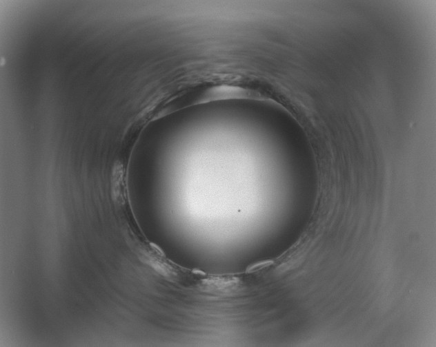 X0000062620480200512281534