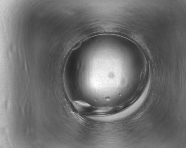 X0000062620481200512281533