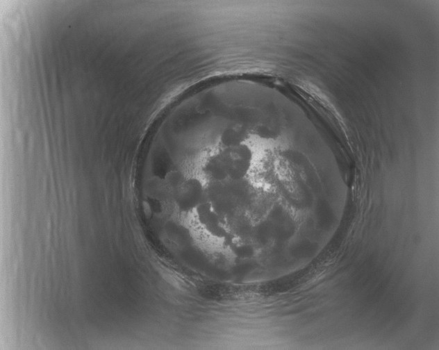 X0000062620483200512281533