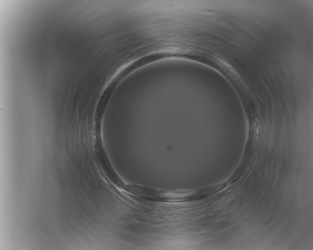 X0000062620484200512281533