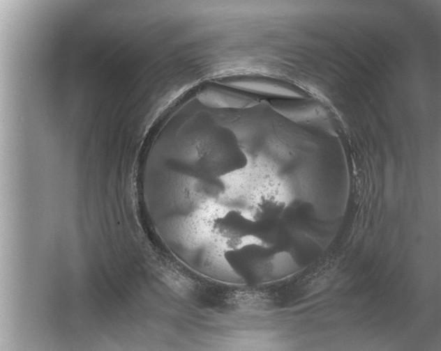 X0000062620487200512281533