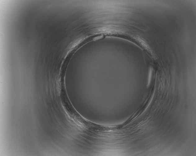 X0000062620488200512281533