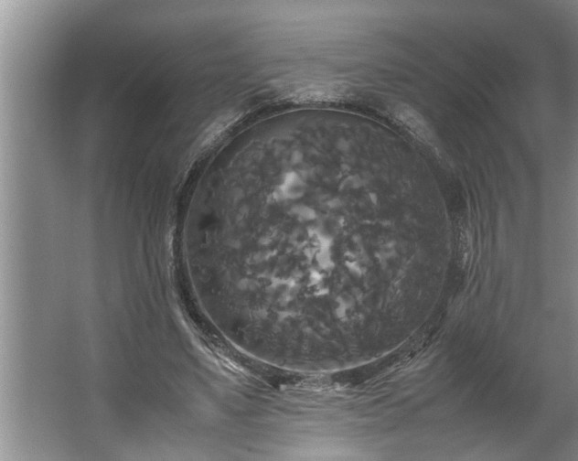 X0000062620491200512281533