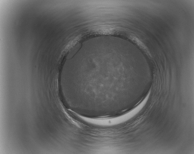 X0000062620493200512281533