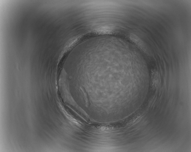 X0000062620494200512281533