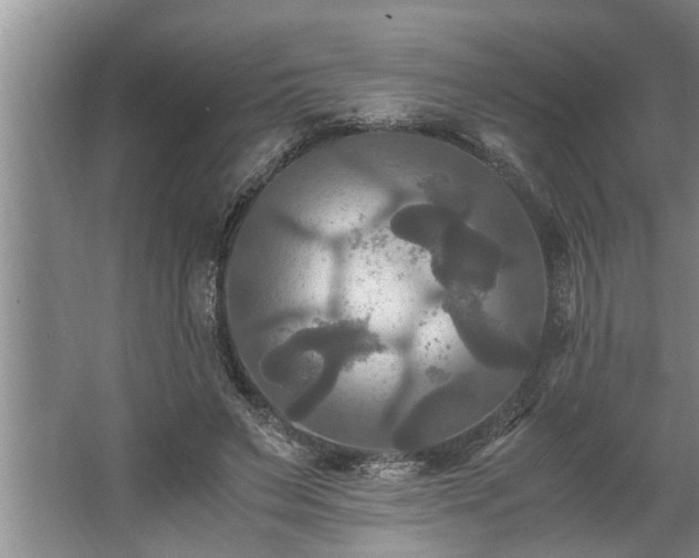 X0000062620495200512281533