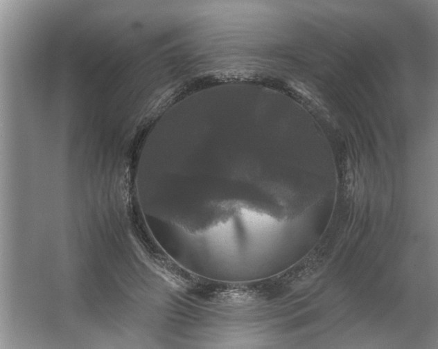 X0000062620498200512281533