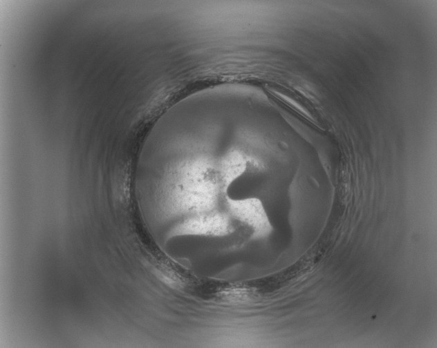 X0000062620499200512281533