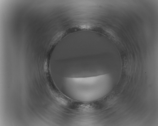 X0000062620502200512281533