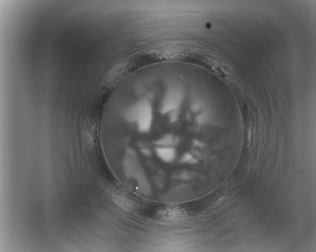 X0000062620503200512281533