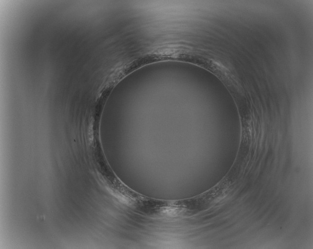 X0000062620504200512281533