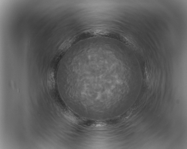 X0000062620506200512281533