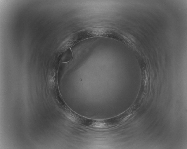 X0000062620507200512281533