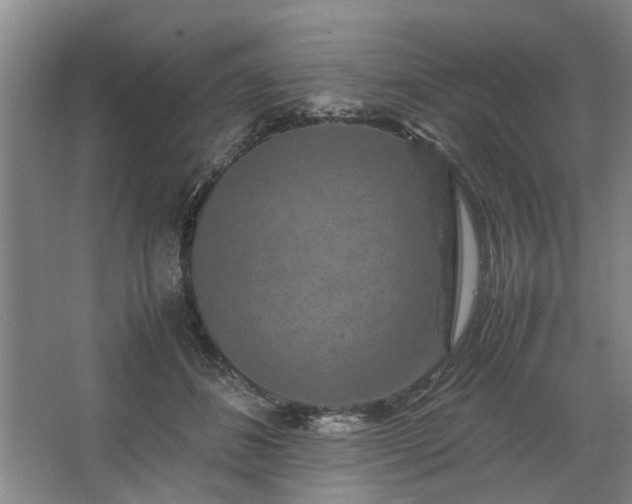 X0000062620508200512281533