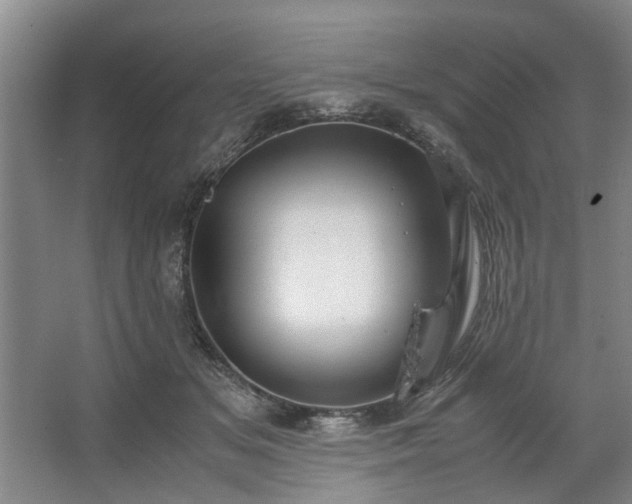 X0000062620509200512281533